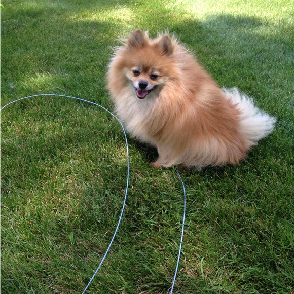 Meet your Posher, Dena - Picture 2 of 15